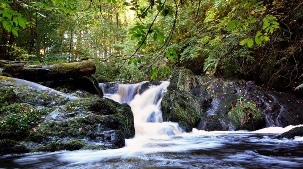 Photo "Glenluce" by David Baird (CC BY-SA) / Cropped from original