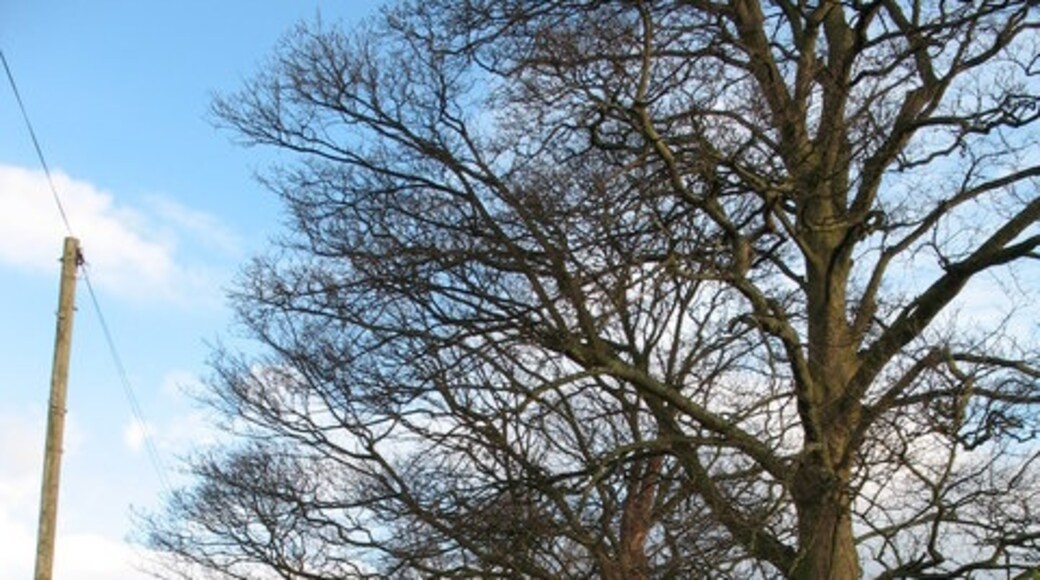 Billede "Thornton Bridge" af Gordon Hatton (CC BY-SA) / beskåret fra det originale billede