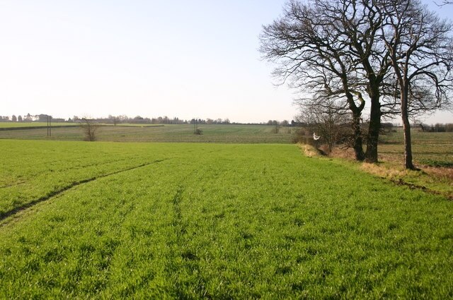 Foto “Wyton-on-the-Hill” tomada por Shaun Ferguson (CC BY-SA); recorte de la original