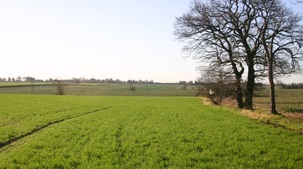 Foto “Wyton-on-the-Hill” tomada por Shaun Ferguson (CC BY-SA); recorte de la original