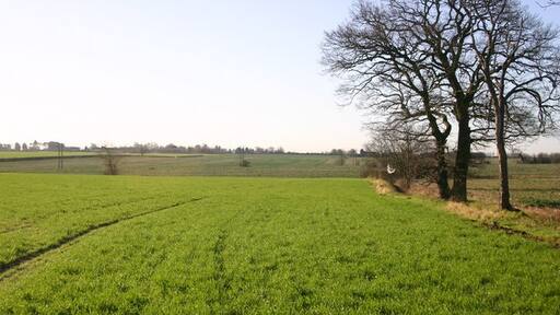 Photo "Wyton-on-the-Hill" by Shaun Ferguson (CC BY-SA) / Cropped from original