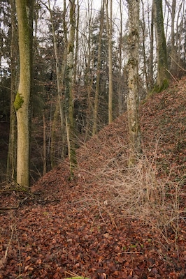 Demolished castle Schloßbuckel Ramsenbühl, Oberteuringen, district Bodenseekreis, Baden-Württemberg, Germany