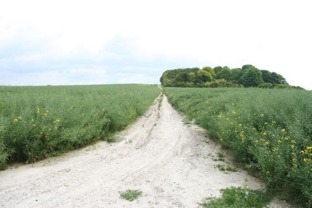 Foto „Newton“ von Duncan Grey (CC BY-SA)/zugeschnittenes Original