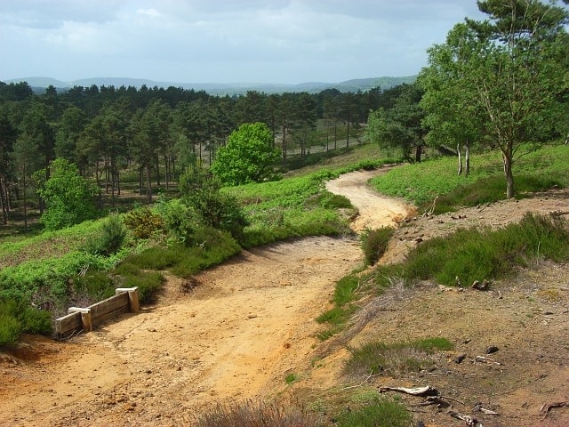 Foto "Whitehill" por Andrew Smith (CC BY-SA) / Recortada de la original