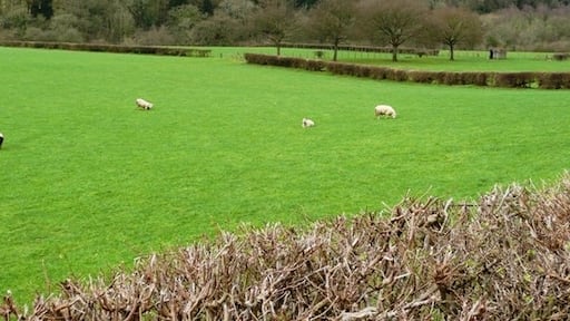 « Aberedw», photo de Graham Horn (CC BY-SA) / rognĂ©e de lâoriginale