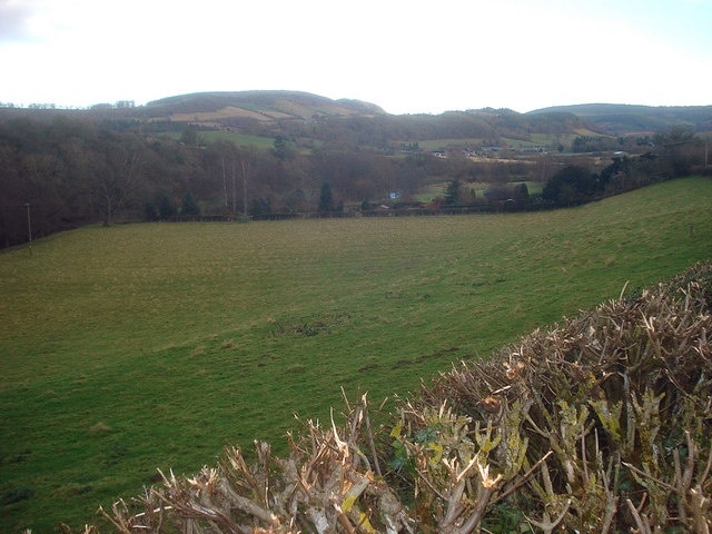 River Teme north of Burrington Bridge - 2 Looking westwards towards Bringewood on the hill.