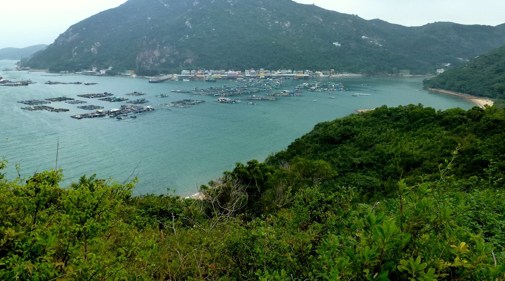 Foto "Bahía Sok Kwu Wan" por Hiroki Ogawa (CC BY) / Recortada de la original