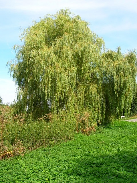 Foto „Eartham“ von Simon Carey (CC BY-SA)/zugeschnittenes Original