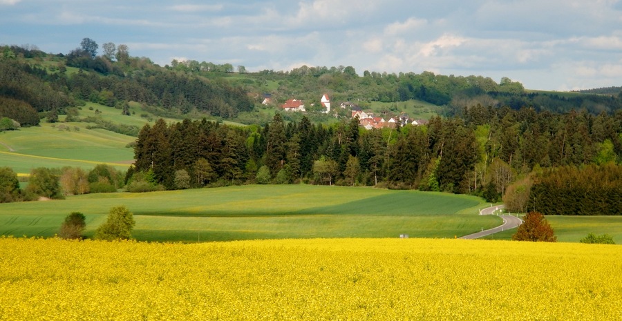 Blick nach Gößlingen