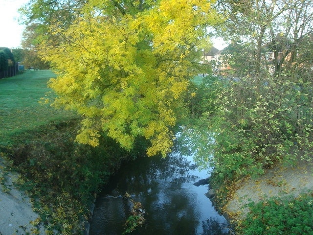 River Shuttle, Bexley