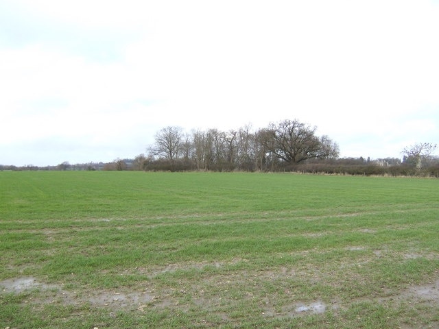 Flat fields of the Vale This view north, close by 307339 continues the theme of typical scenery in the Vale of White Horse. Unnamed copse in shot is not featured on Landranger map.