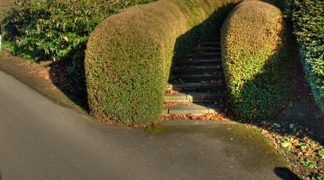 Kuva ”Little Lumley” käyttäjältä Paul Robson (CC BY-SA) / rajattu alkuperäisestä kuvasta