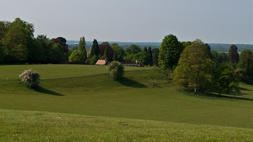 Photo "Bletchingley" by Ian Capper (CC BY-SA) / Cropped from original