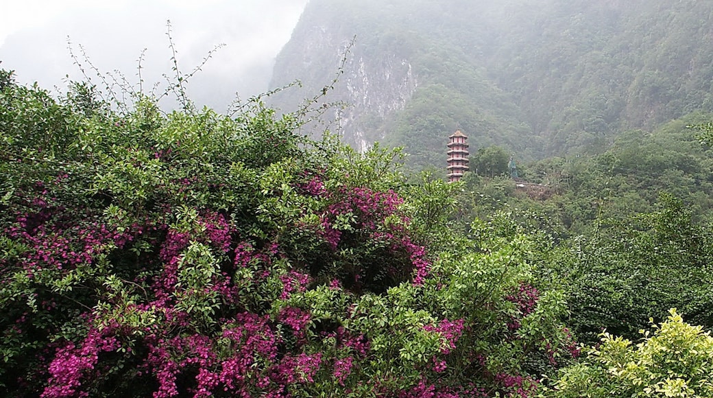 Foto "Taroko Gorge" oleh lienyuan lee (CC BY) / Dipotong dari foto asli
