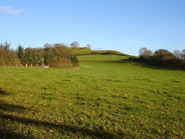 East from the drive to Cefnbryntalch The eastern edge of the square is about where the grass darkens beyond the nearer group of sheep. The high ground in the next square is Fron Wyllt.