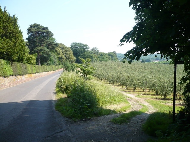 Staplestreet Road On the left is Mount Ephraim and on the right is the start of a footpath to Boughton-under-Blean.