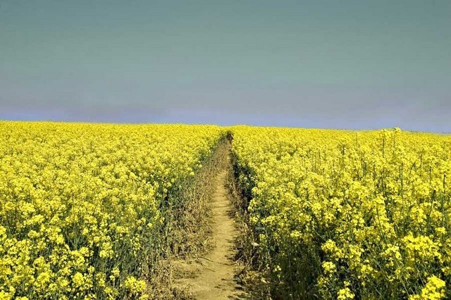 Foto „Sulby“ von Dominic Miles (CC BY-SA)/zugeschnittenes Original