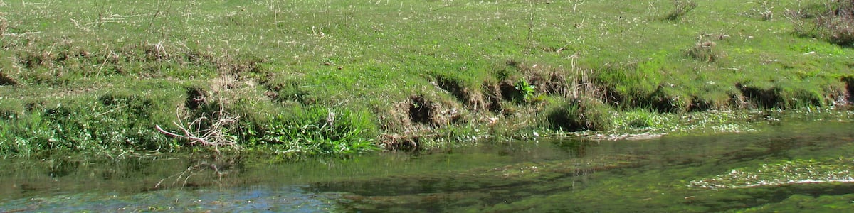 Photo "Lozoya River" by Bea (Creative Commons Attribution 2.0) / Cropped from original