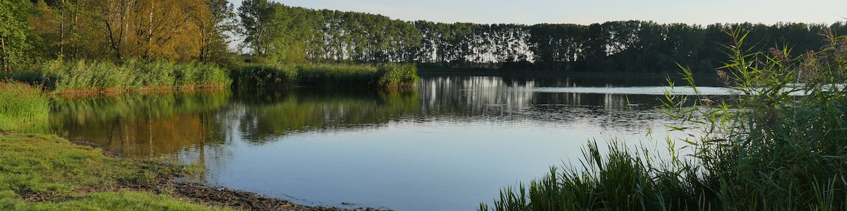 Photo "Badestelle am Pelsiner See, Blick auf das östliche und südliche Ufer" by Erell (Creative Commons Attribution-Share Alike 3.0) / Cropped from original