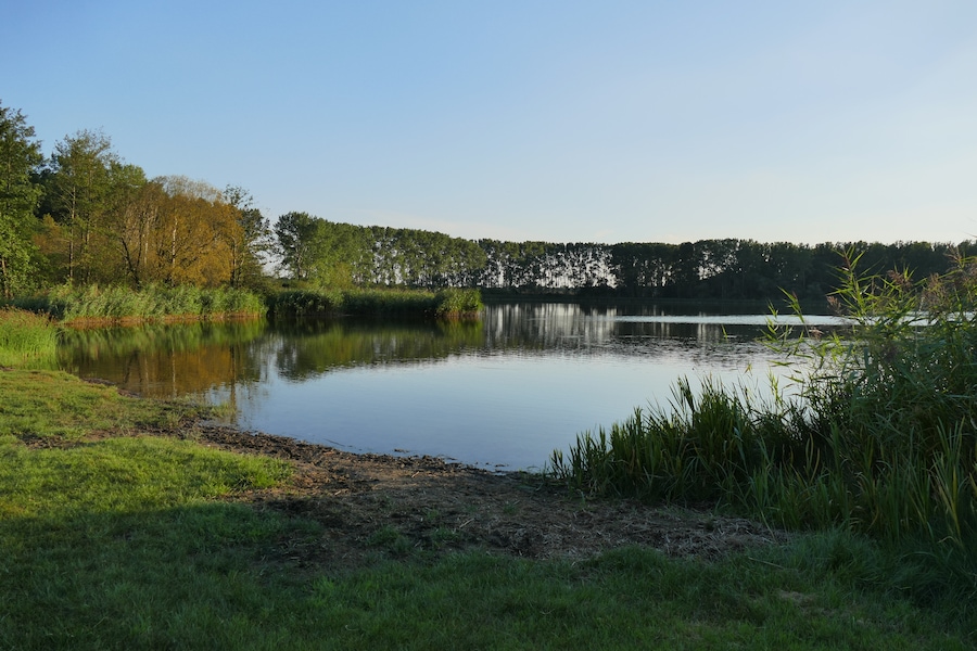 Badestelle am Pelsiner See, Blick auf das östliche und südliche Ufer