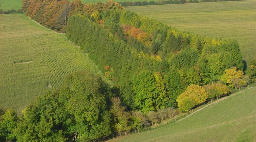 Foto "Ham" por Andrew Smith (CC BY-SA) / Recortada de la original