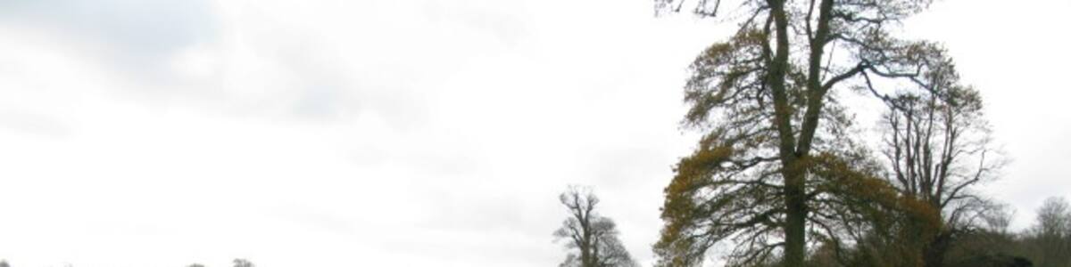 Photo "View along footpath through Waldershare Park The exact route of the path is not obvious but the darker line through the grass is a rough approximation of it." by Nick Smith (Creative Commons Attribution-Share Alike 2.0) / Cropped from original