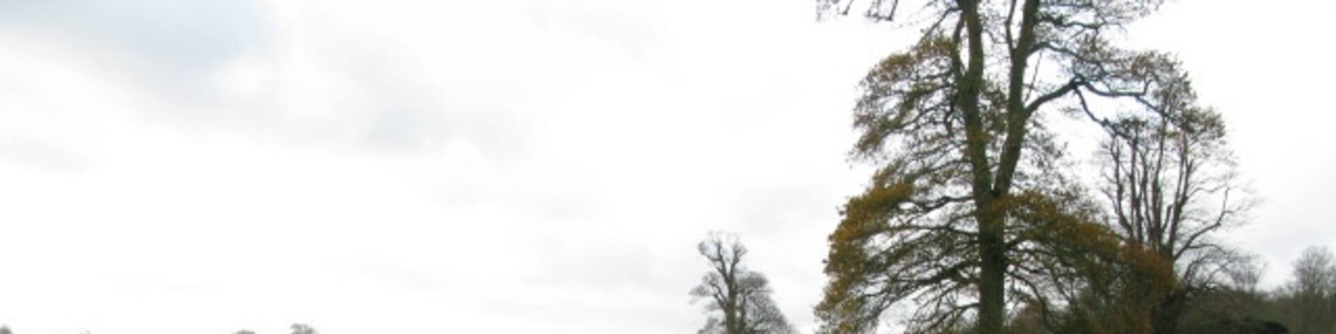 View along footpath through Waldershare Park The exact route of the path is not obvious but the darker line through the grass is a rough approximation of it.