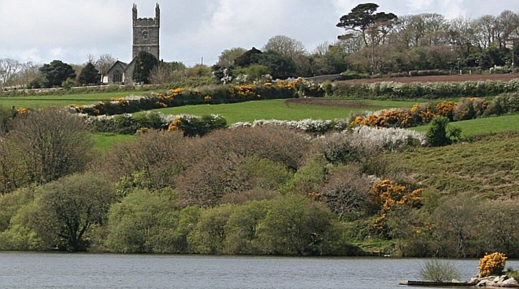 Kuva ”Budock” käyttäjältä Tony Atkin (CC BY-SA) / rajattu alkuperäisestä kuvasta