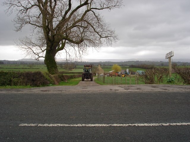 Foto “Thornton-le-Beans” tomada por Frank Glover (CC BY-SA); recorte de la original