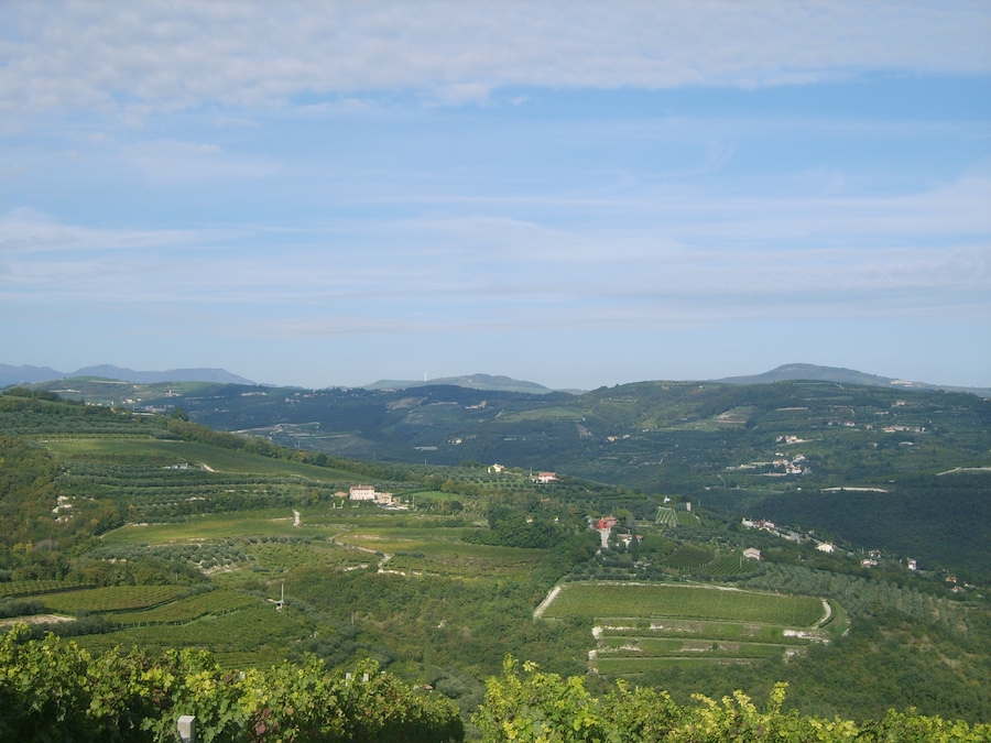 La pala eolica di Badia Calavena (sullo sfondo)