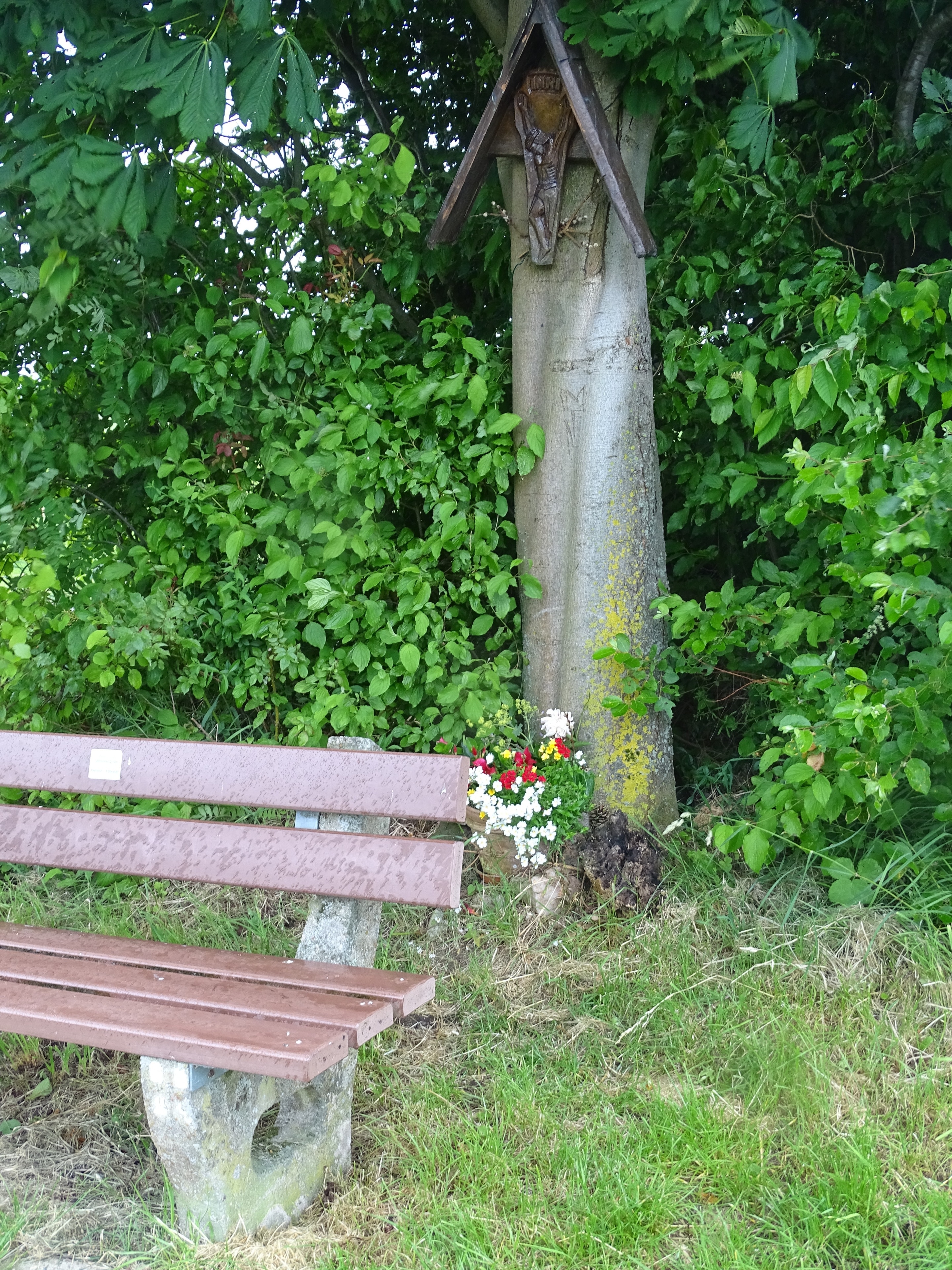 Photo "Großlaudenbach" by Prof. emeritus Hans Schneider (Geyersberg) (CC BY) / Cropped from original