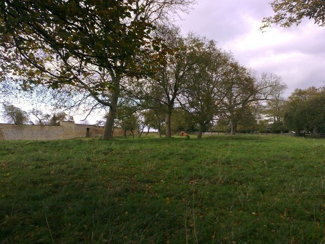 Billede "Wicken" af mick finn (CC BY-SA) / beskåret fra det originale billede