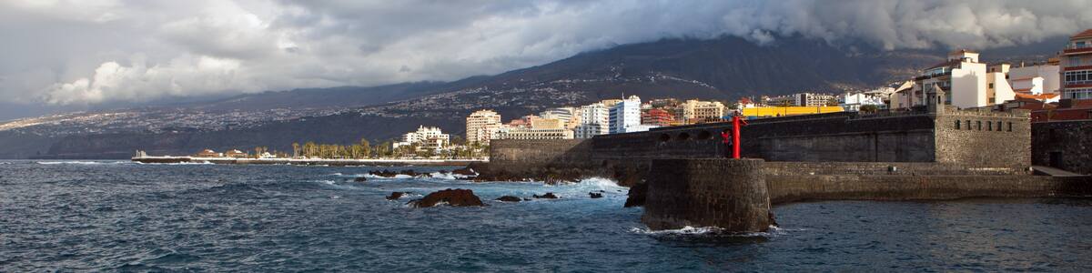 Photo "Teneriffa February 2012" by Bengt Nyman (Creative Commons Attribution 3.0) / Cropped from original