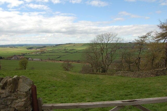 Photo "Hedleyhope" by P Glenwright (CC BY-SA) / Cropped from original