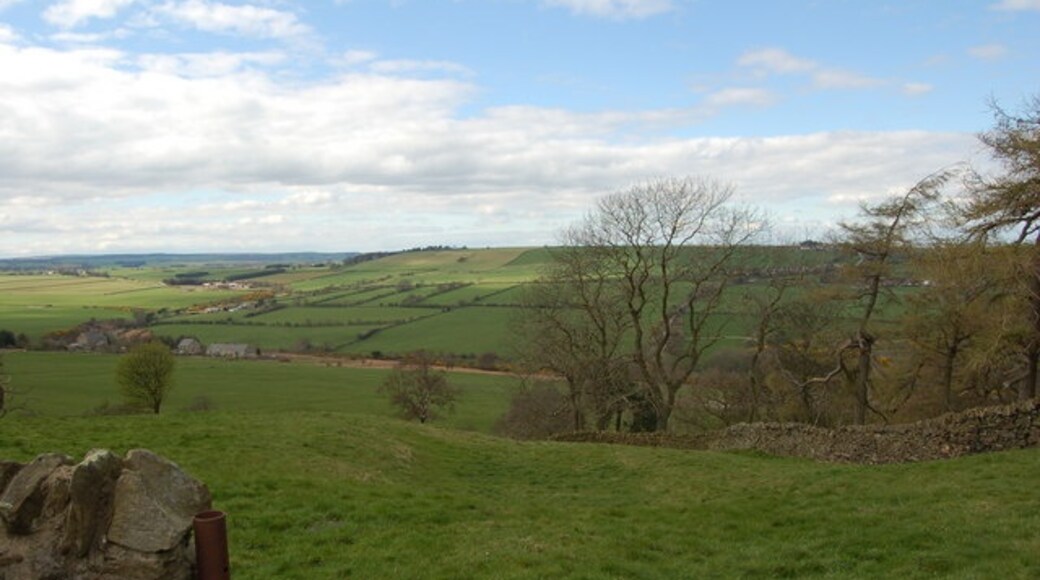 Photo "Hedleyhope" by P Glenwright (CC BY-SA) / Cropped from original