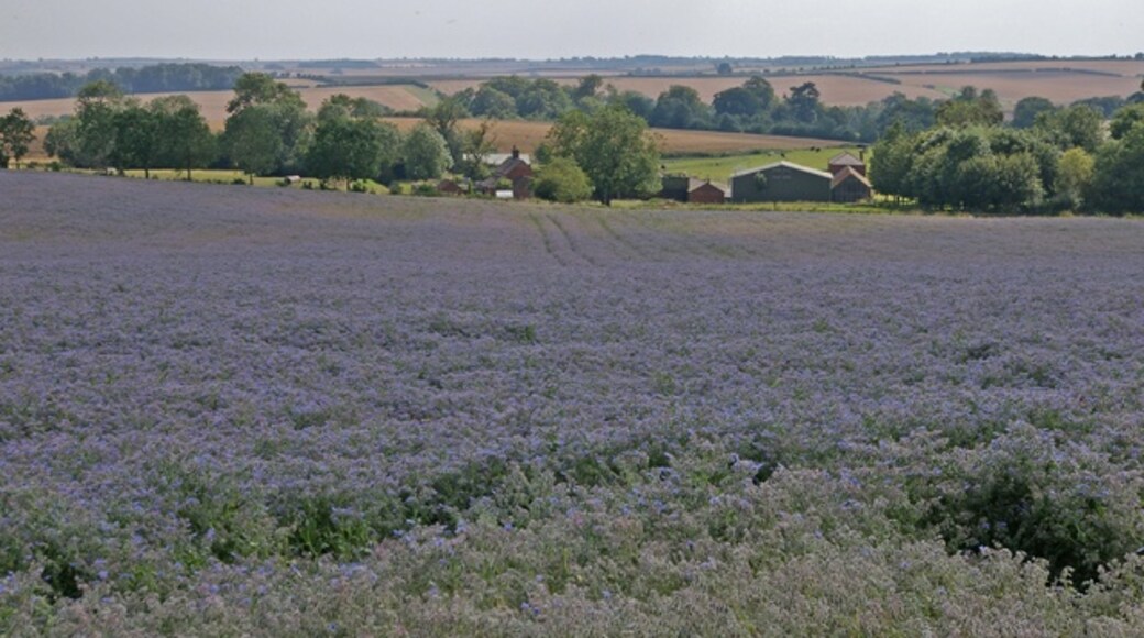 Photo "Elkington" by Mr T (CC BY-SA) / Cropped from original