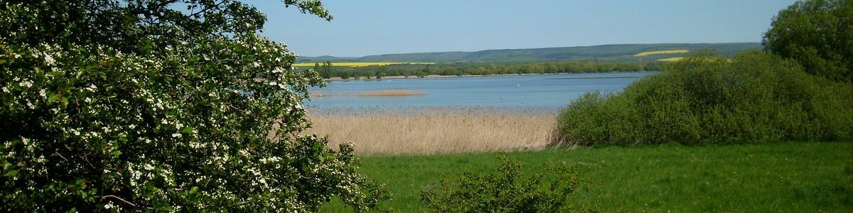 Photo "The Kelbra Reservoir on the river Helme in the Mansfeld-Südharz district of Saxony-Anhalt, view from the south-west" by Jwaller (Creative Commons Attribution-Share Alike 3.0) / Cropped from original