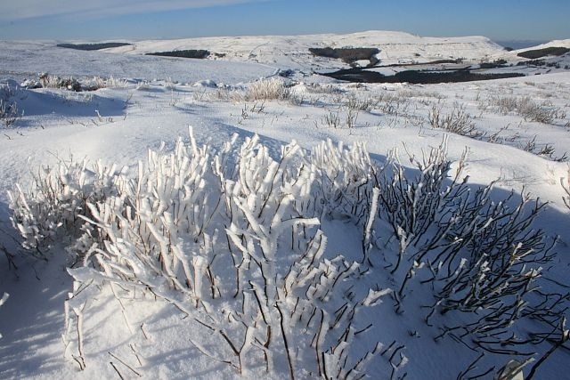 Foto “Ingleby Greenhow” tomada por Mick Garratt (CC BY-SA); recorte de la original