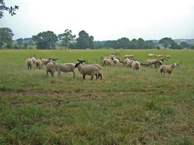 Photo "Kearby with Netherby" by michael ely (CC BY-SA) / Cropped from original