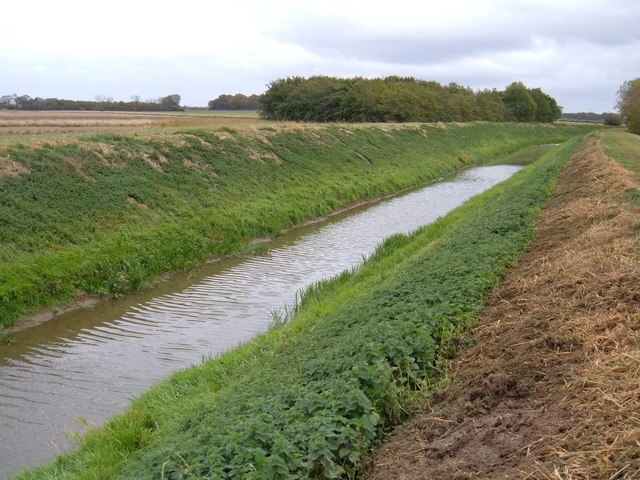 Foto “Swine” tomada por JThomas (CC BY-SA); recorte de la original