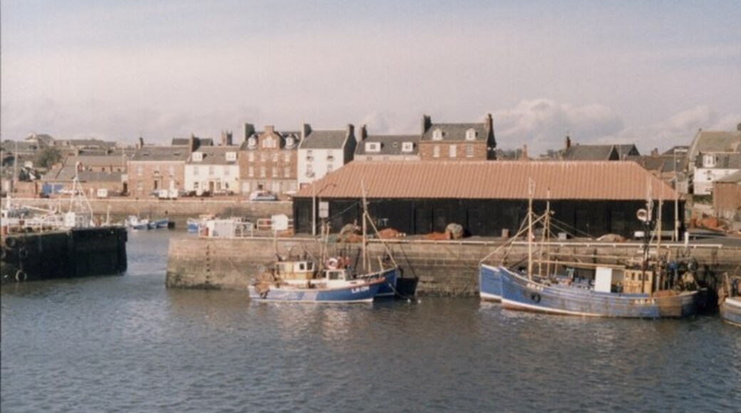 Foto "Tidal Harbour" por Elliott Simpson (CC BY-SA) / Recortada de la original