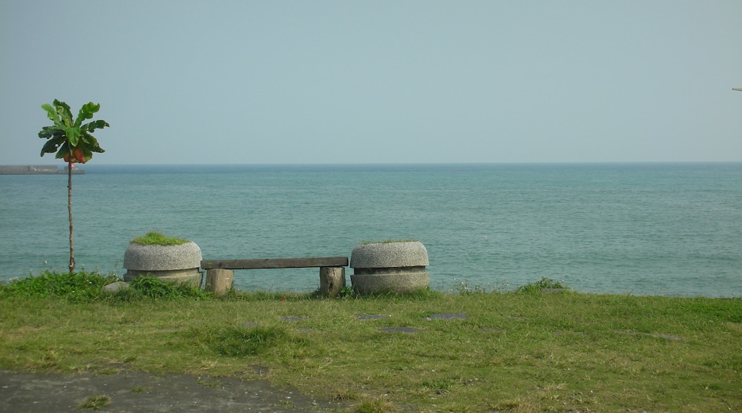 Photo "Pacific Landscape Park" by Foxy Who \(^∀^)/ (CC BY-SA) / Cropped from original