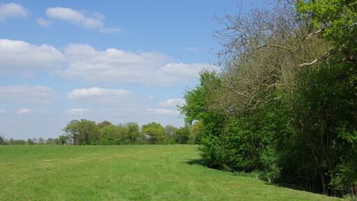 Kuva ”Fairstead” käyttäjältä Robin Webster (CC BY-SA) / rajattu alkuperäisestä kuvasta