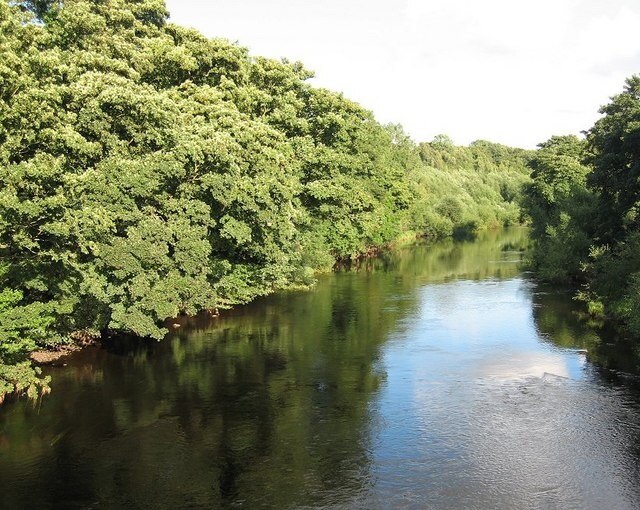 Kuva ”Girsby” käyttäjältä Antonia (CC BY-SA) / rajattu alkuperäisestä kuvasta