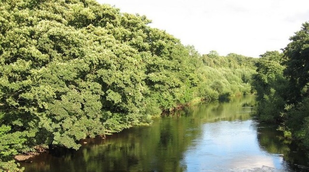 Foto “Girsby” tomada por Antonia (CC BY-SA); recorte de la original