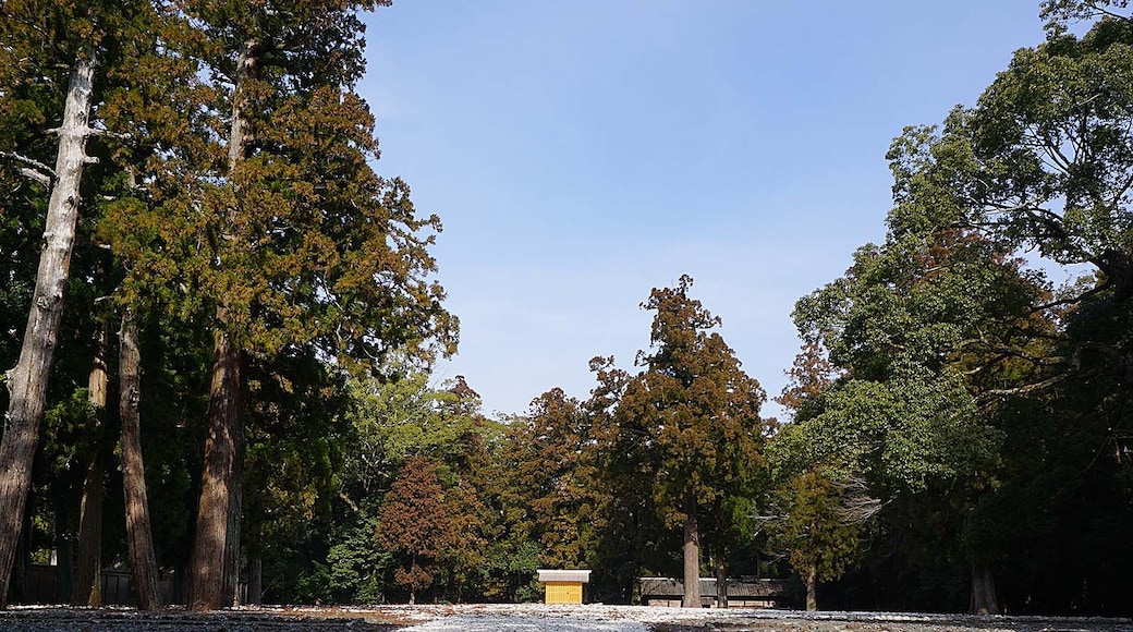 Photo "Ise Grand Shrine" by z tanuki (CC BY) / Cropped from original
