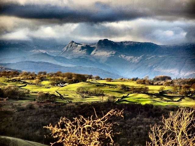 Honeybee Wood As seen in the foreground from Scout Scar. Beyond the ridge of Underbarrow to Latterbarrow in shade on the west shore of Lake Windermere with Lingmore Fell to the left of the backdrop of Pike of Stickle and Harrison Stickle.