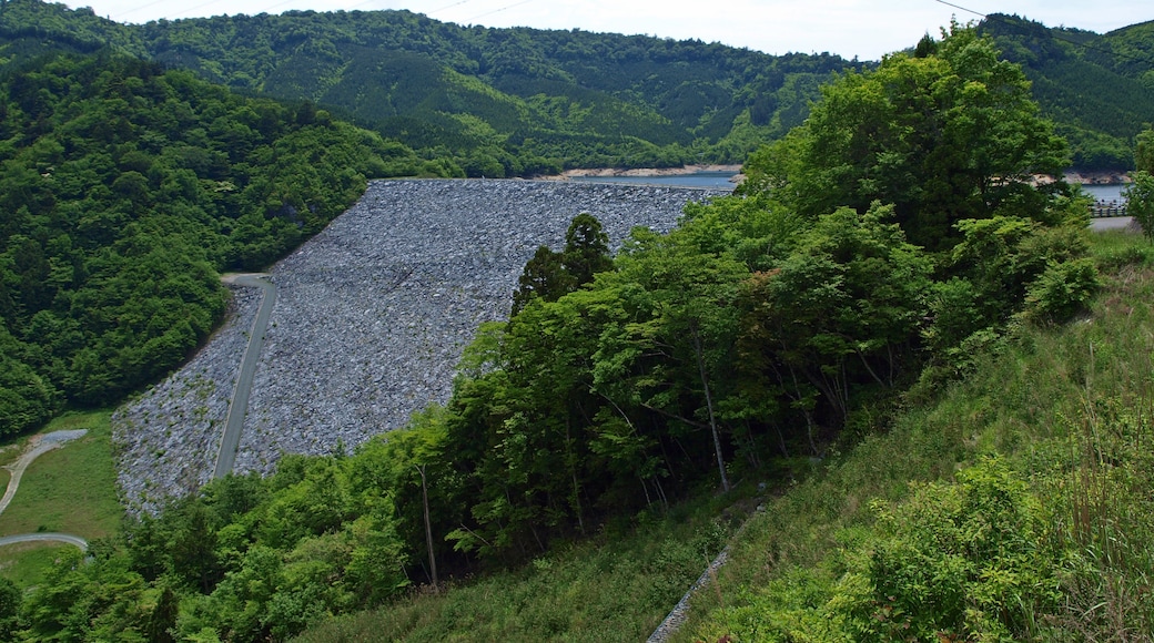 Inamura dam(Seto river/Kochi pref./Japan)