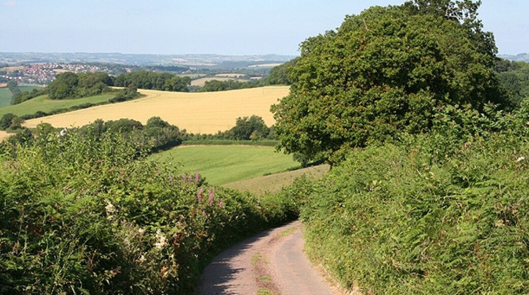 "Crediton Hamlets"-foto av Martin Bodman (CC BY-SA) / Urklipp från original
