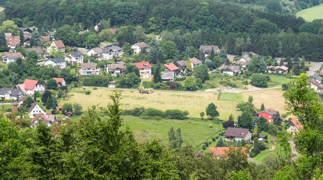 Foto ‘Heiligenkirchen’ van Tsungam (CC BY) / bijgesneden versie van origineel